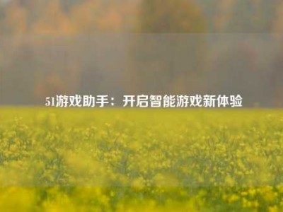  51游戏助手：开启智能游戏新体验