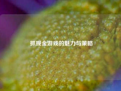  抓现金游戏的魅力与策略