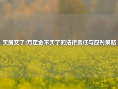 买房交了2万定金不买了的法律责任与应对策略
