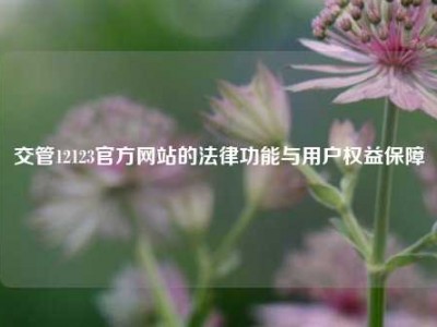 交管12123官方网站的法律功能与用户权益保障