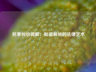 民事纠纷调解：和谐解纷的法律艺术