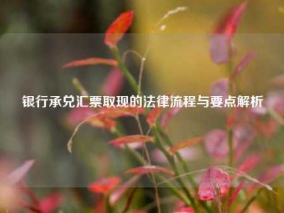 银行承兑汇票取现的法律流程与要点解析