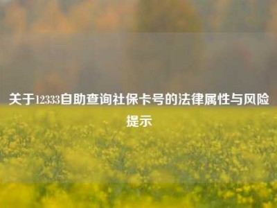 关于12333自助查询社保卡号的法律属性与风险提示
