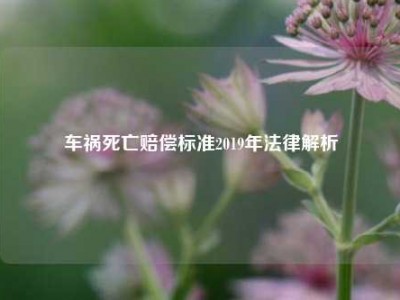 车祸死亡赔偿标准2019年法律解析