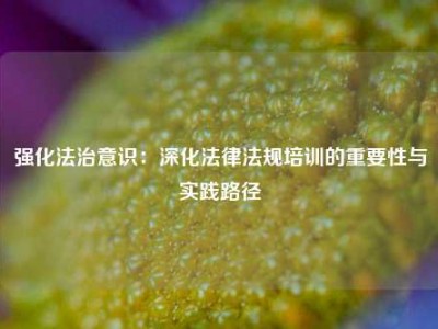 强化法治意识：深化法律法规培训的重要性与实践路径