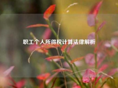 职工个人所得税计算法律解析