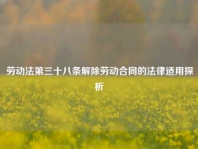 劳动法第三十八条解除劳动合同的法律适用探析