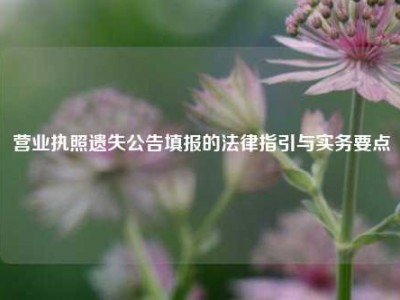 营业执照遗失公告填报的法律指引与实务要点