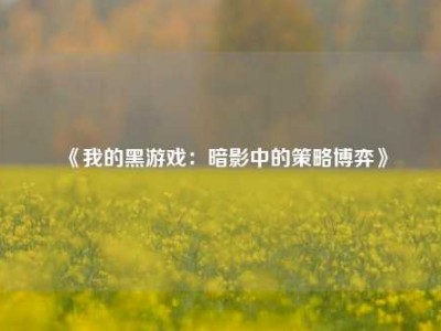 《我的黑游戏：暗影中的策略博弈》