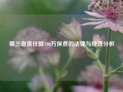 第三者责任险100万保费的法律与经济分析