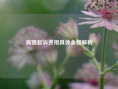 离婚起诉费用具体金额解析