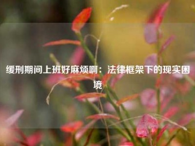 缓刑期间上班好麻烦啊：法律框架下的现实困境