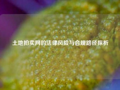 土地拍卖网的法律风险与合规路径探析