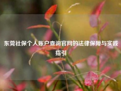 东莞社保个人账户查询官网的法律保障与实践指引
