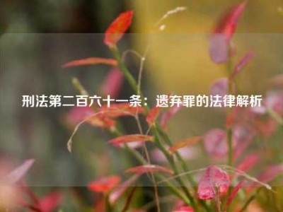 刑法第二百六十一条：遗弃罪的法律解析