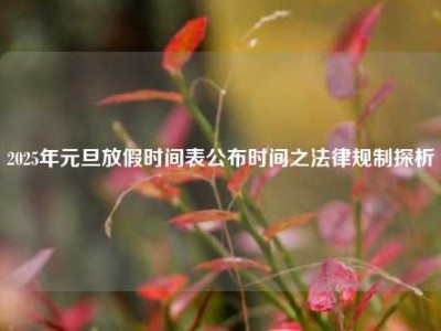 2025年元旦放假时间表公布时间之法律规制探析