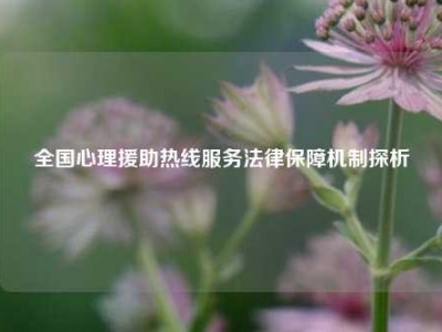 全国心理援助热线服务法律保障机制探析