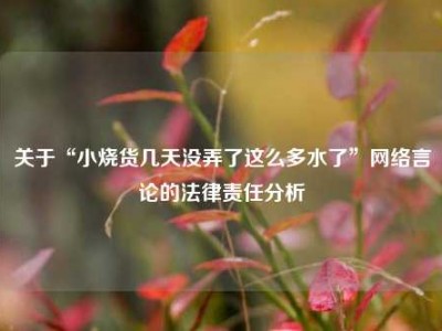 关于“小烧货几天没弄了这么多水了”网络言论的法律责任分析