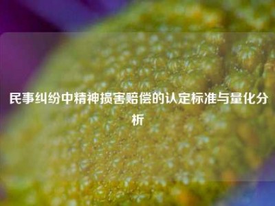 民事纠纷中精神损害赔偿的认定标准与量化分析