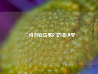  三维游戏玩家的沉浸世界
