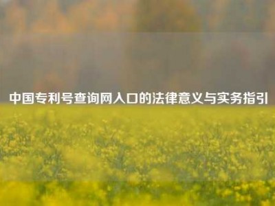 中国专利号查询网入口的法律意义与实务指引