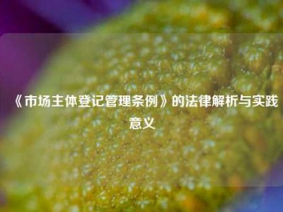 《市场主体登记管理条例》的法律解析与实践意义