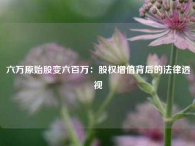 六万原始股变六百万：股权增值背后的法律透视