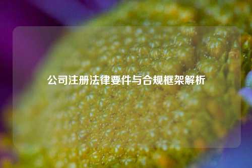 公司注册法律要件与合规框架解析