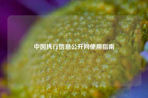 中国执行信息公开网使用指南