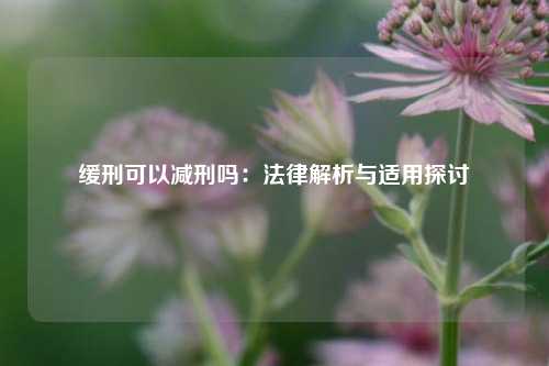 缓刑可以减刑吗：法律解析与适用探讨