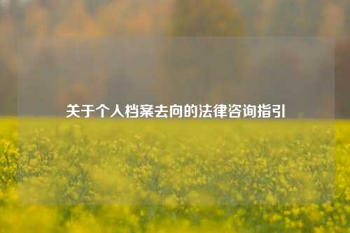 关于个人档案去向的法律咨询指引