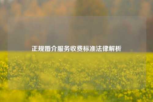 正规婚介服务收费标准法律解析