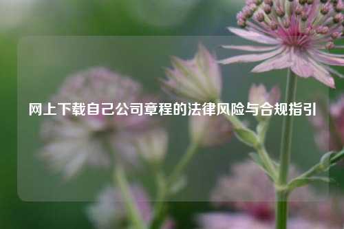 网上下载自己公司章程的法律风险与合规指引