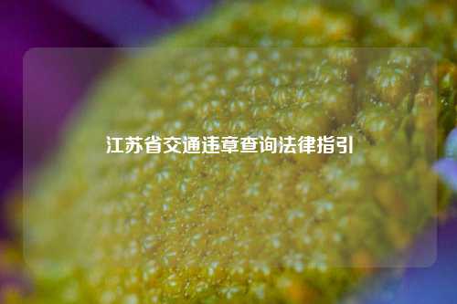 江苏省交通违章查询法律指引
