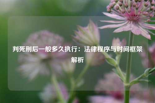 判死刑后一般多久执行:法律程序与时间框架解析