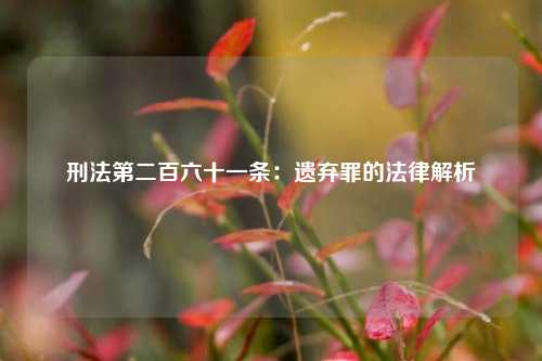 刑法第二百六十一条：遗弃罪的法律解析