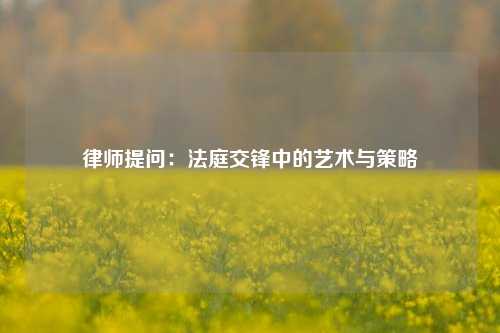 律师提问：法庭交锋中的艺术与策略
