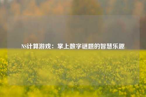 NS计算游戏：掌上数字谜题的智慧乐趣